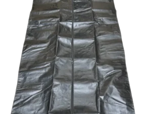 BBS-005